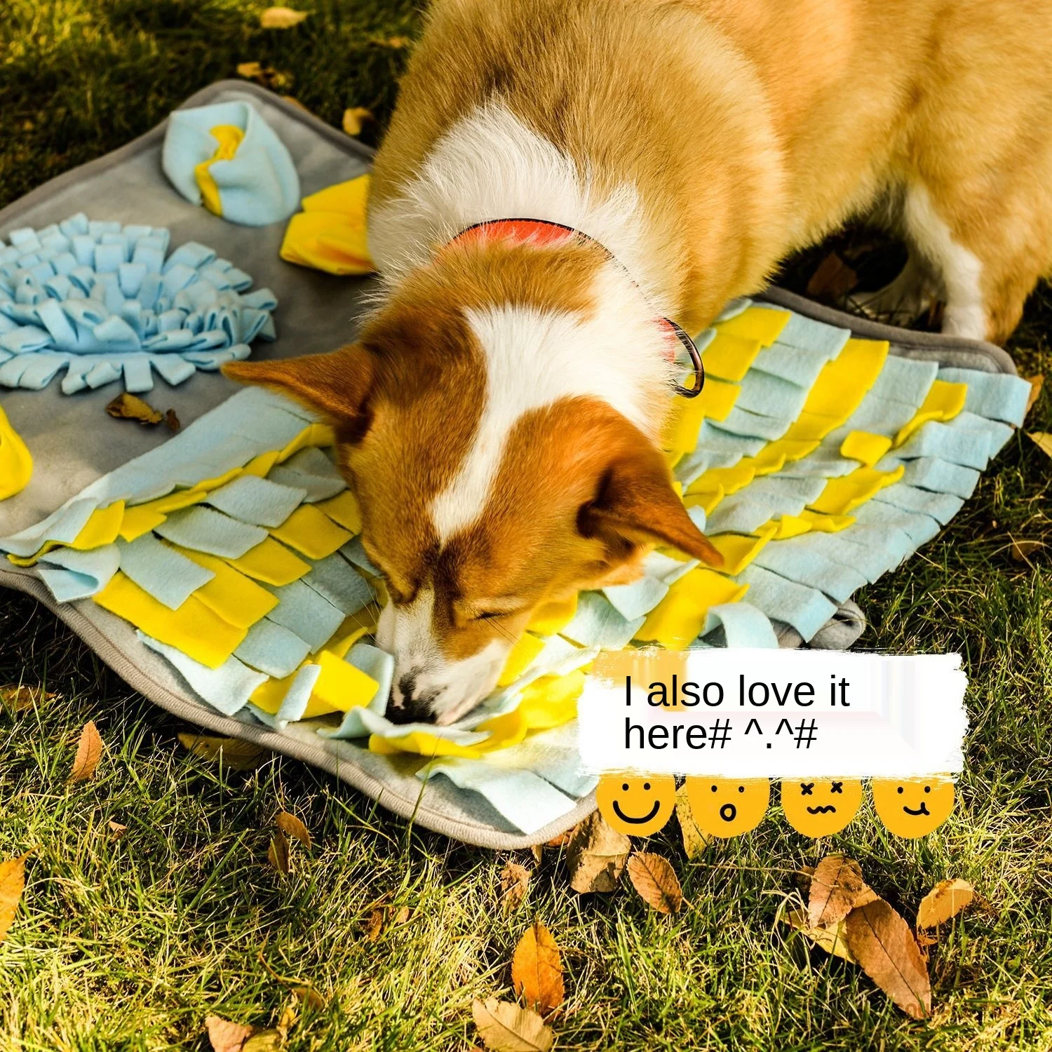 Pet Dog Snuffle Mat Pet Sniffing Training Blanket Detachable Fleece Pads Dog  Mat Relieve Stress Nosework Puzzle Toy Pet Nose Pad