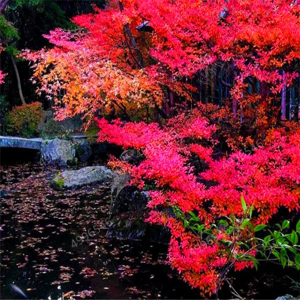 577ac7a72b8e0661a182c9ef403ec8ebea6211502fb6d-FdQ9um_fw658