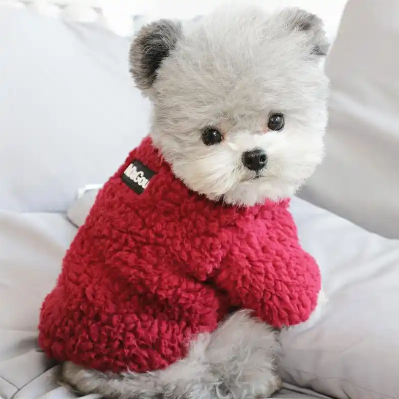 NashaFeiLi Haustier-Kleidung Hunde-Kapuzenpullover f/ür kaltes Wetter Sweatshirt Mantel f/ür kleine und mittelgro/ße Hunde