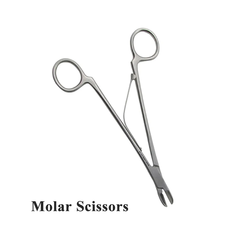 1PCS Lab Experiment Rodent Rat Rabbit Totoro Dental Instrument Extraction Forceps Tooth Elevator Pressure Plat Expansion Opening