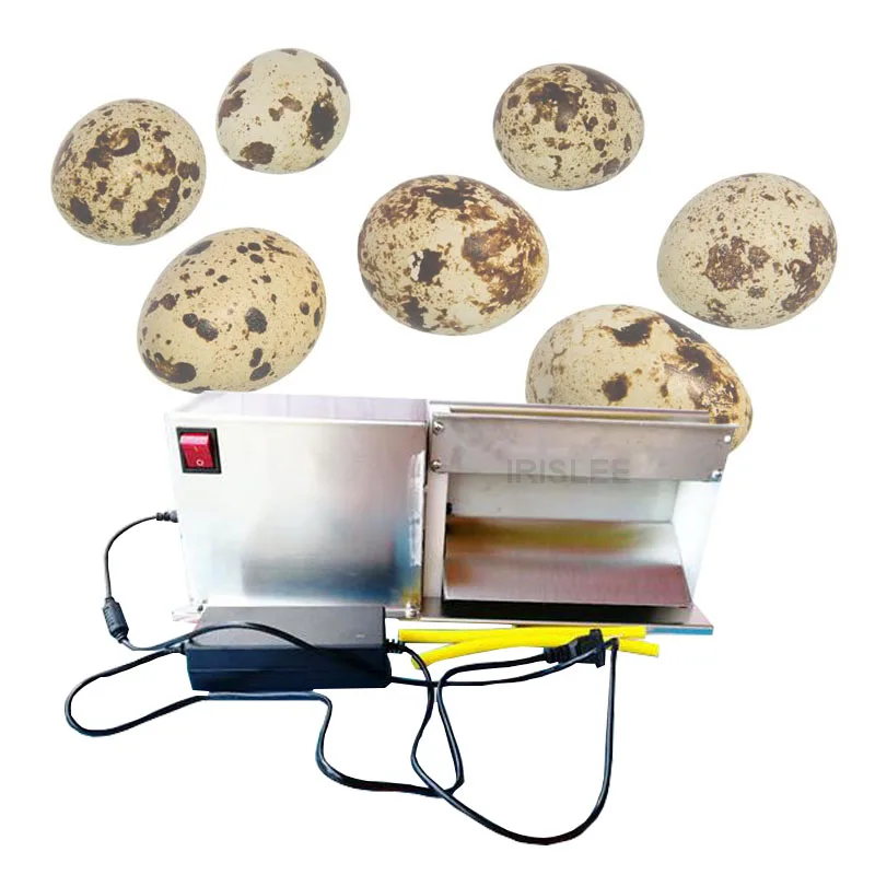 Electric small egg peeler machine quail eggs shell removing machine cooked bird eggs peeling machine