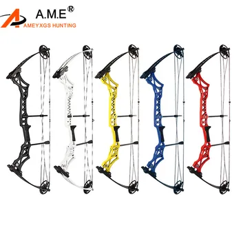 

Archery M108 Compound Bow and Arrow Set Adult 30-55Lbs Shooting Competitive Sports Equipment Outdoor Hunting