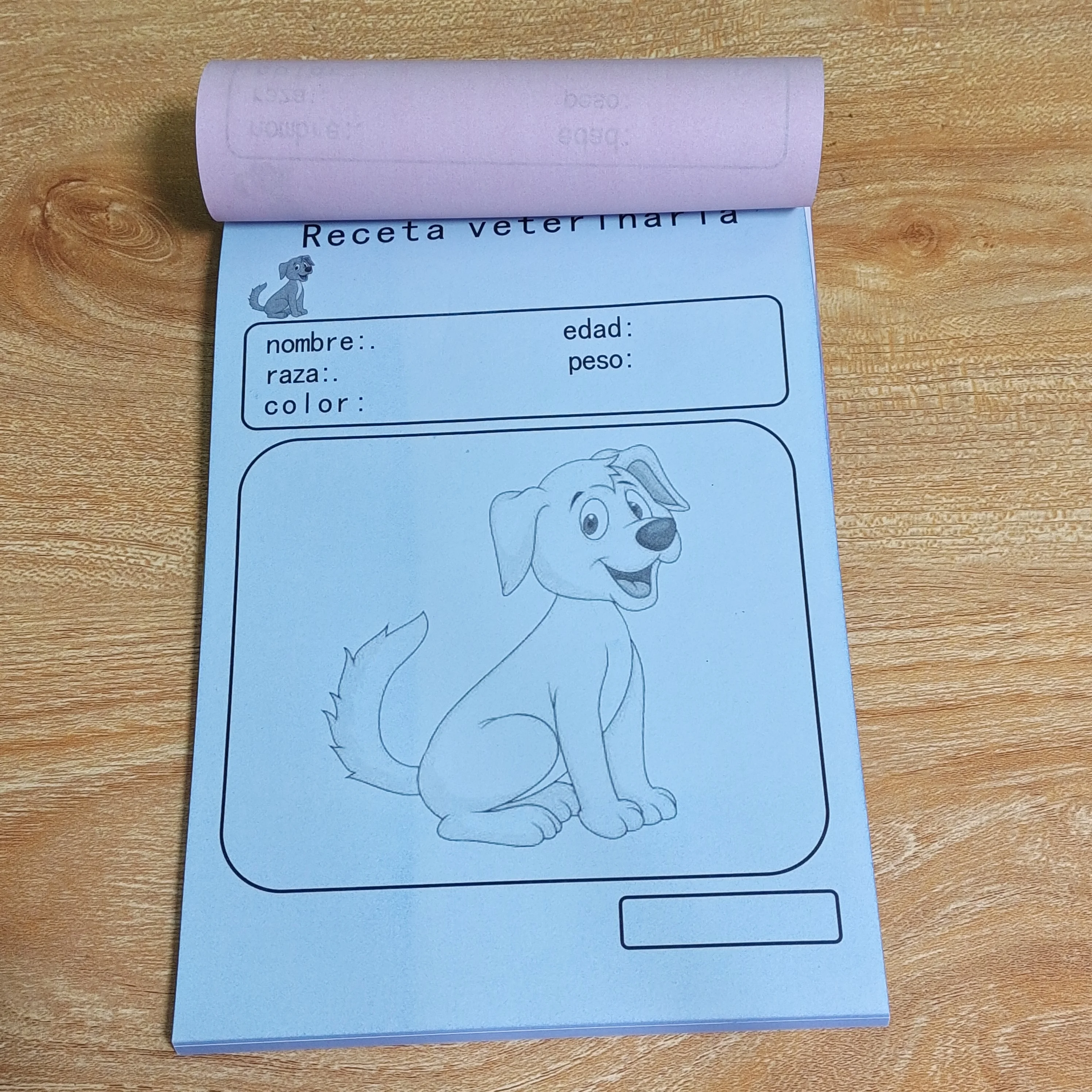 Receipt Books by Carbonless Paper printing custom