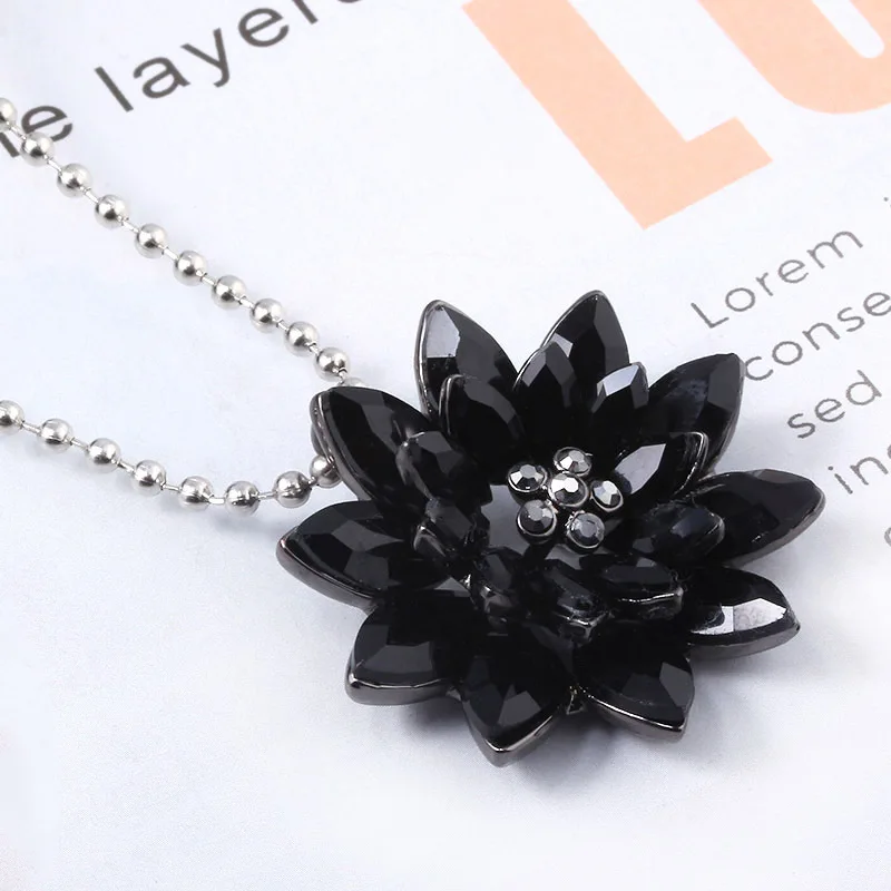 11691056586_1832390435