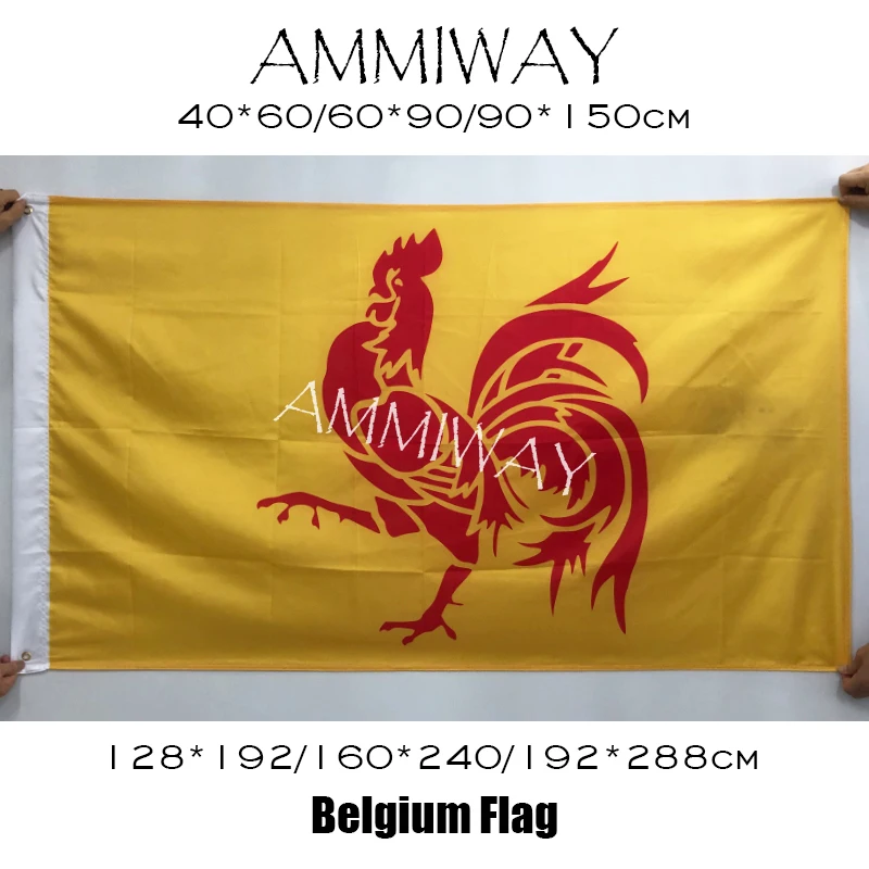 YAZANIE Belgium Provinces Flemish Brabant Flags and Banners Belgium  National Flag Polyster 90*150cm 60*90cm 40*60cm Banner - AliExpress