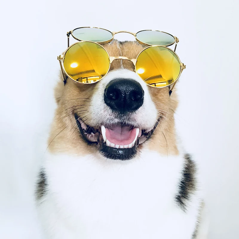Gafas de sol para perros medianos y grandes, lentes de sol de moda para gatos, accesorios para fotos de Navidad, accesorios para mascotas