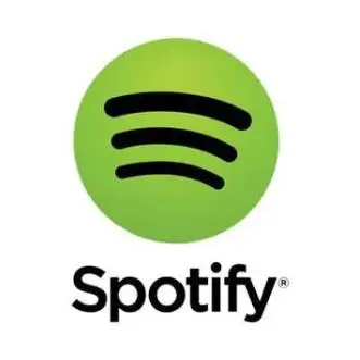 1 год гарантии Личная подписка Spotify Premium работа на ПК Смарт ТВ приставки Android IOS Телефон планшеты PC Stick tv