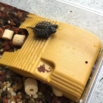 

Reptile Platform Turtle Basking Aquarium Amphibian Aquatic Climb Tank Staircase 85WC