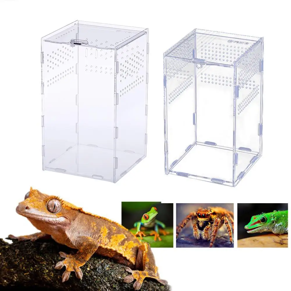 Reptile Turtle Lizard Snake Amphibian Frog Spider Box Habitat Box Case CLEAR