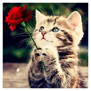 

NEW-Diamond Painting Kit, Diamond Drawing Cute Cat Pictures Embroidery Cross Stitch Kit Wall Decor for Home, Living Room