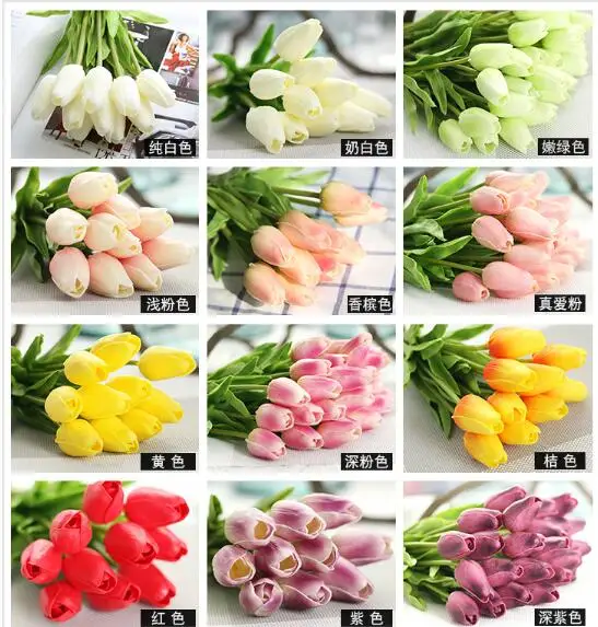 

100 Tulips