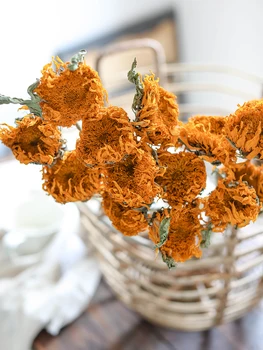 

Dried Flowers Sunflowers Eternal Flowers Real Flowers Natural Home Decor Arrangement Decorative Floral Wedding Accessories