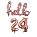 RG Hello 24
