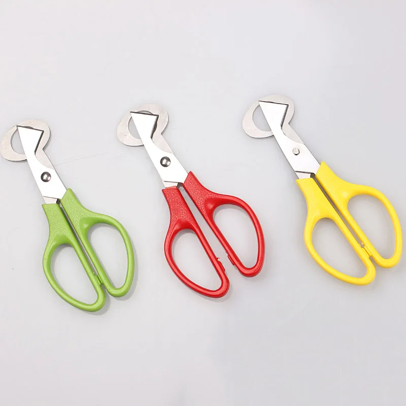 

New Stainless Steel Cut Whisk Egg Apparatus Pigeon Quail Egg Scissor Bird Opener Kitchen Tool Clipper Gen Eggshell Cutter