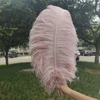

Hot Sales 100pcs Red Bean Paste 22-24inches/55-60cm DIY jewelry Christmas Halloween Decoration Natural ostrich feathers