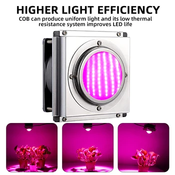 

300W LED Grow Light Phyto Lamp For Plant Full Spectrum High Luminous Efficiency for Indoor Hydroponic Greenhouse Growth lamp