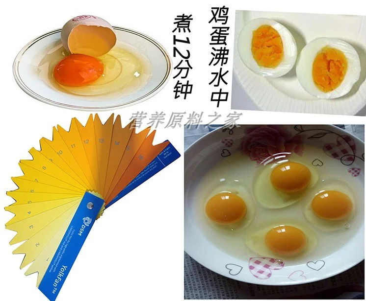 1KG Carophyll Red canthaxanthin 10% Chicken Feed Additives Duck Feed Additives Fish Animal plant fertilizer