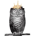 Crown-Owl dropshipping Store