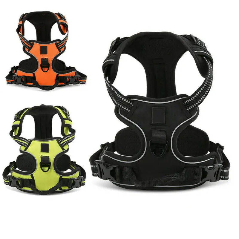 Faroot 3M Adjustable Summer Pet Nylon Comfort Harness Plus Stretchy Leash For Small Animal Travel Walk Vest