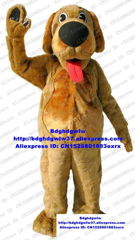costumes for a couple and a dog