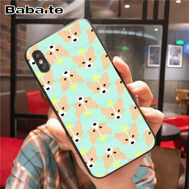 Cartoon Cute Corgi Dog