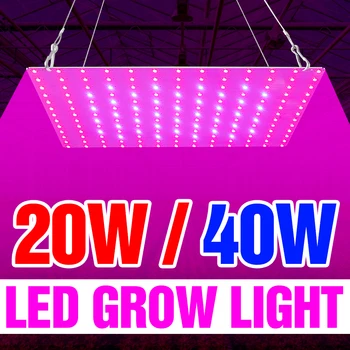 

Full Spectrum LED Plant Grow Light 20W 40W Hydroponics Phyto Lamp 220V Flower Seeds Growing Lampara LED Fitolampy EU US UK Plug