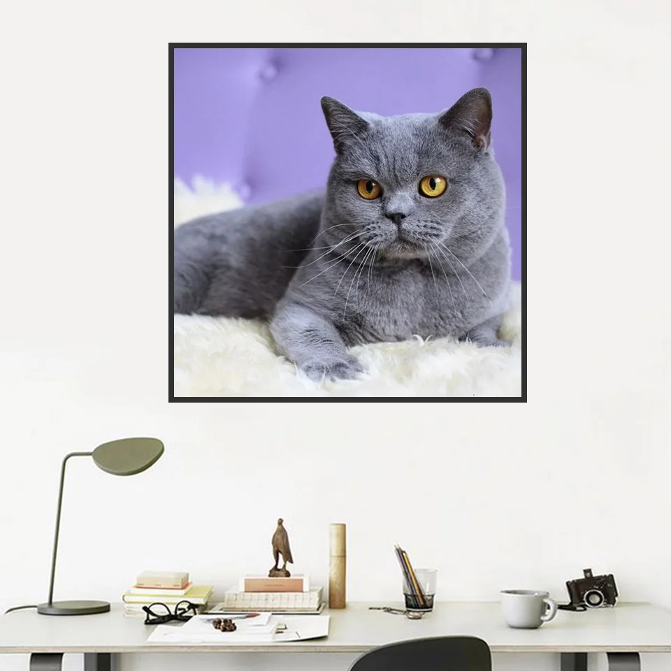 hylk.jpg_.webp hylk.jpg_.webp