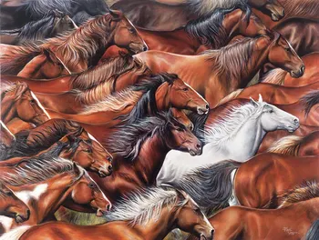 

JOHNSON Horse Colorful photo studio background High quality Computer print wall backdrops