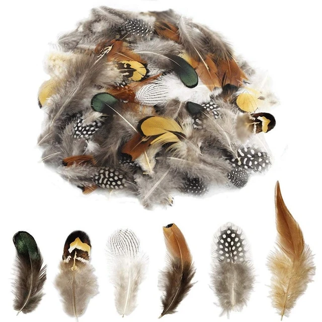 Small Pheasant Feathers for Crafts Bulk Wholesale 60pcs