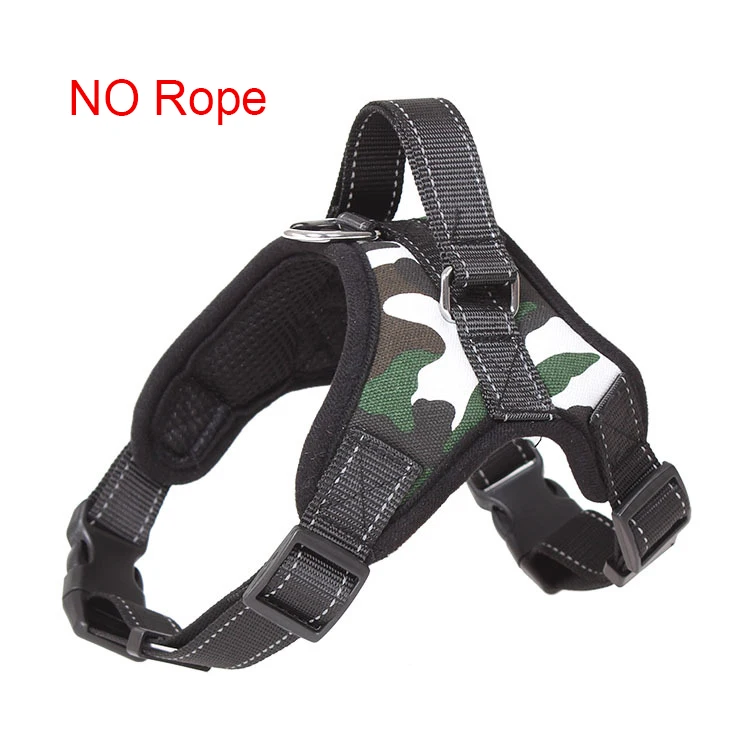 8123870705_1648768732