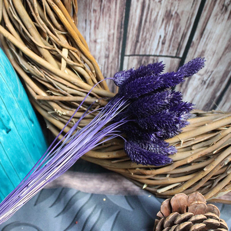 6082275967_1854372444