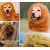 Cute Pet Cosplay Clothes Transfiguration Costume Lion Mane Winter Warm Wig Cat large Dog Party Decoration With Ear Pet Apparel ► Photo 3/6