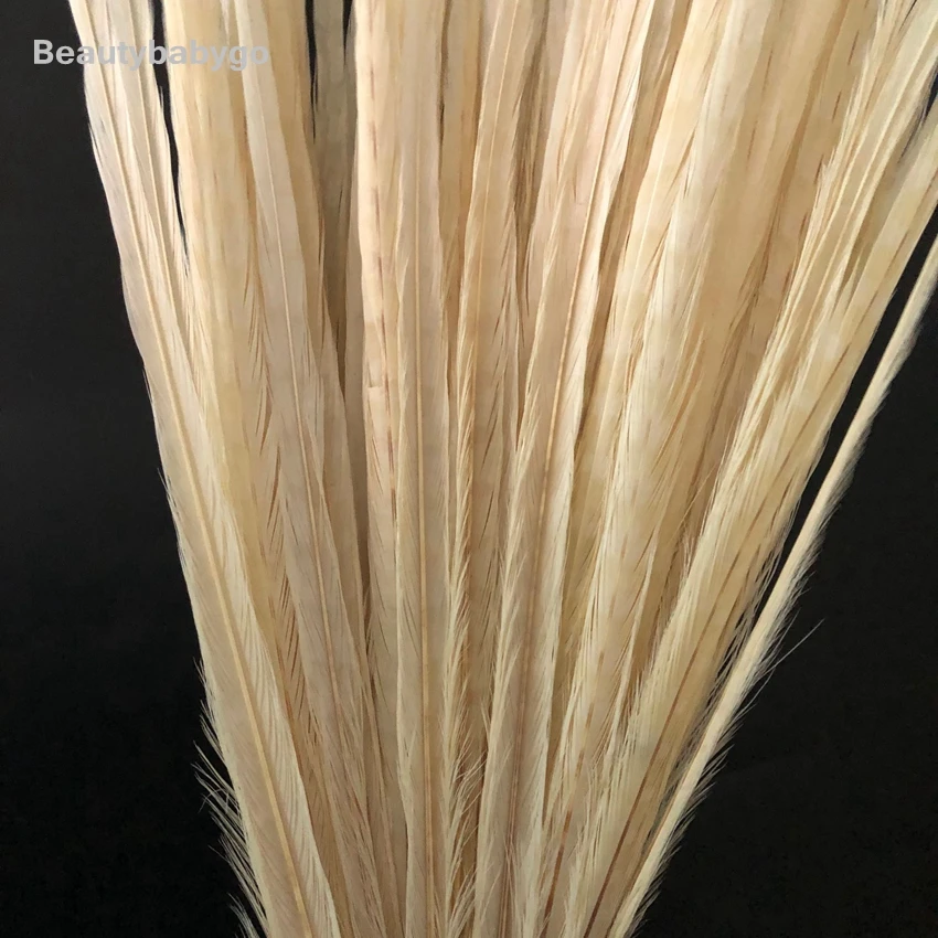 50-55cm 20-22inch Silver Paint Ringneck Pheasant Tails Feather Natural Chicken Feathers For Carnival Halloween Decorations Craft