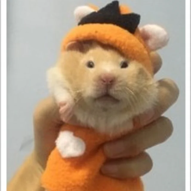 Small Pet/Hamster Accessories 6
