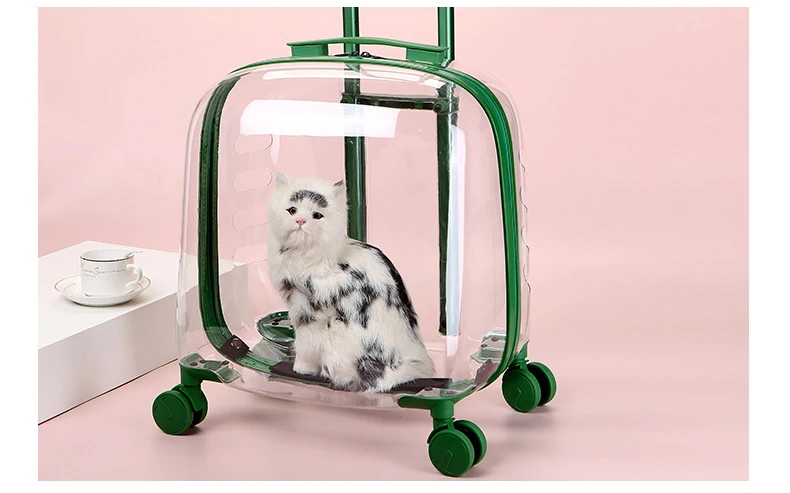 H4c12870ddb1141be98f2b11dab1d4b3cJ