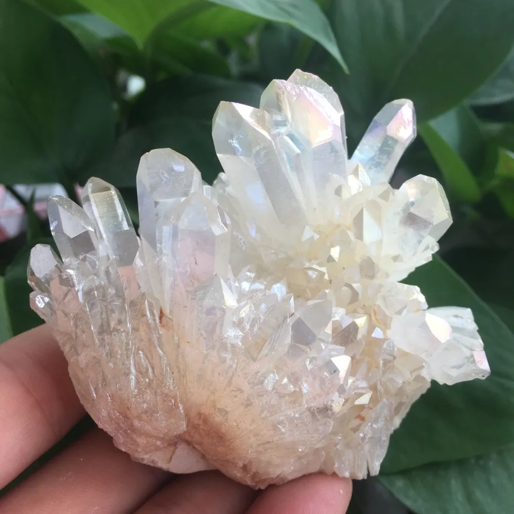 QQ图片20190902211051