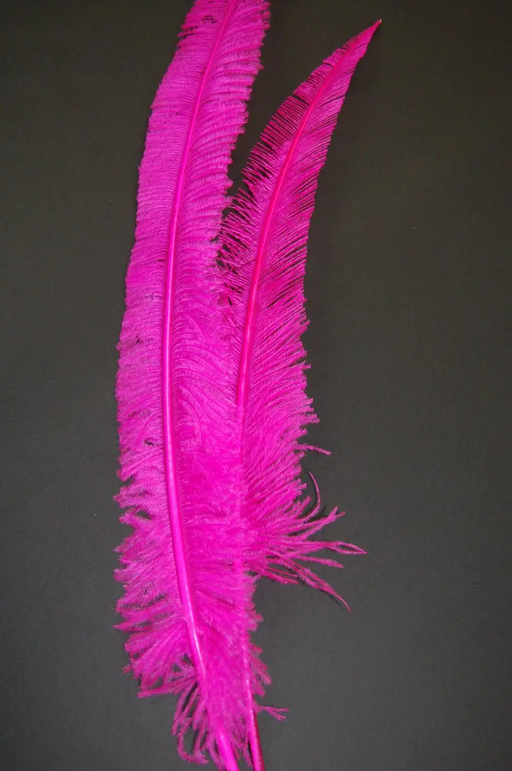 hot pink 50 шт. Бирюзовый синий окрашенный Страус Nandu Перья 45-50 см 18-2" натуральный Страус драбы Свадебная вечеринка Карнавал Украшения - Цвет: hot pink