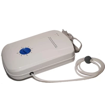 

Hot Household Multi-Functional Fruit and Vegetable Purifier Ozone Detoxification Machine Purification Food,EU Plug