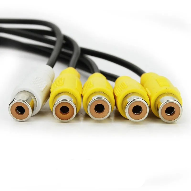 HTB1jP6HLFXXXXcDXVXXq6xXFXXXD