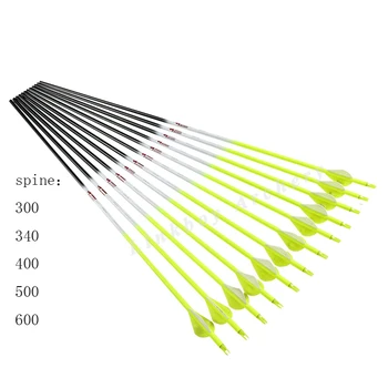 

Linkboy Archery 12pcs Fluorescent Carbon Arrows 2''vane Nocks Changeable Arrowheads for Compound Bow Hunting flechas