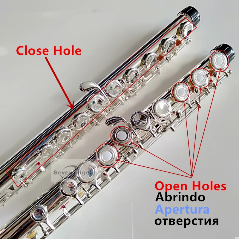 LAIIMAN Топ японская флейта 16 отверстие открытый с E ключ 271 Посеребренная флейта C Ключ белая медь Flauta поперечные Музыкальные инструменты