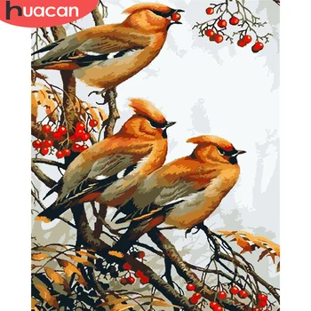 

HUACAN Paint By Number Bird Hand Painted Painting Art Drawing On Canvas Gift DIY Pictures By Numbers Animal Kits Home Decor