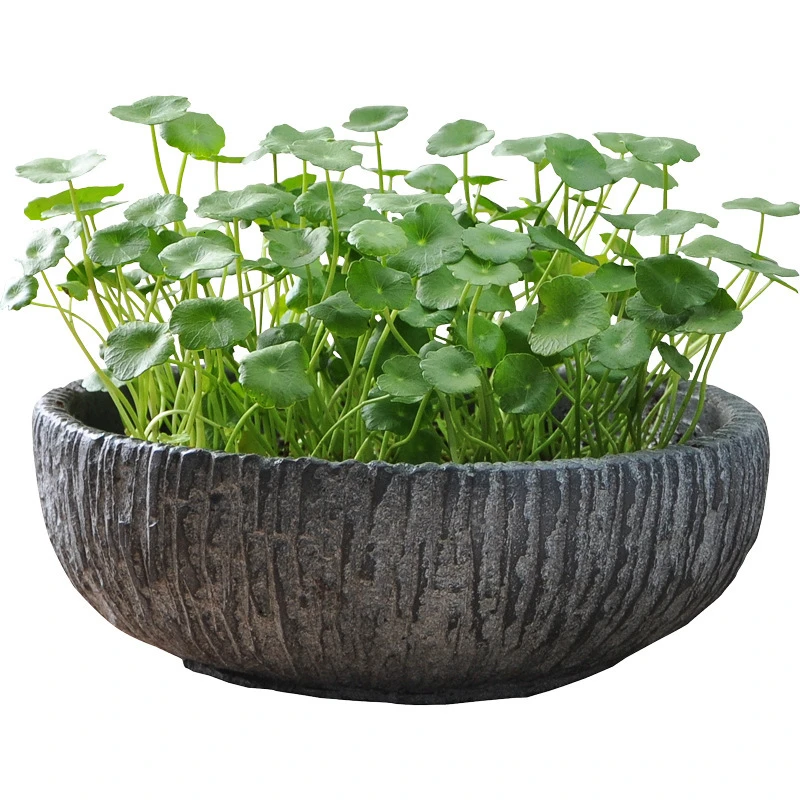 Hydroponics Flowerpot Indoor Lotus Bowl Water Lilies Copper Grass Narcissu Meaty Flowerpot Cement Flowerpot