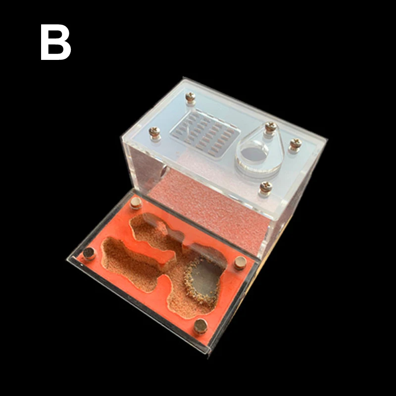 Новинка, сделай сам, акриловая плоская муравьиная ферма с областью кормления, экологическое Муравьиное гнездо, Муравьиное животное, муравьиная мастерская, замок, муравьиный домик, 11 см* 8 см* 6,7 см - Цвет: B