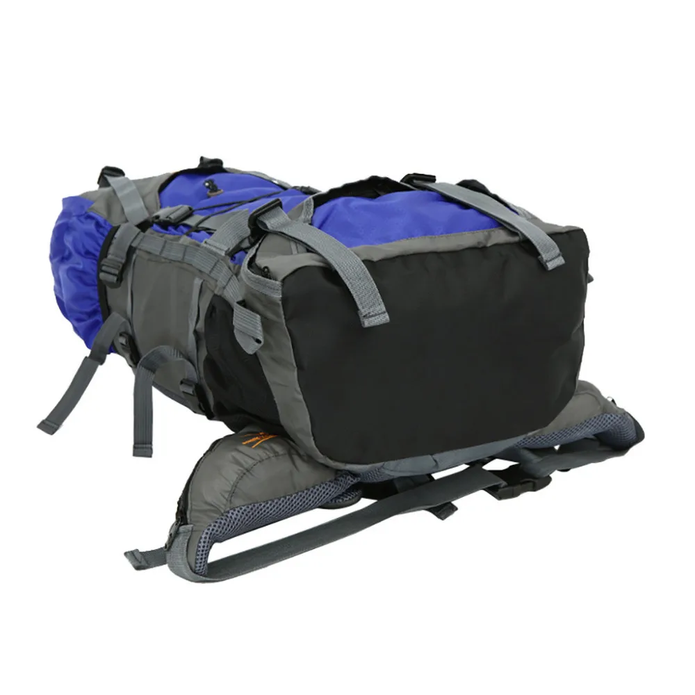 LLI90315003_2019031503205875313