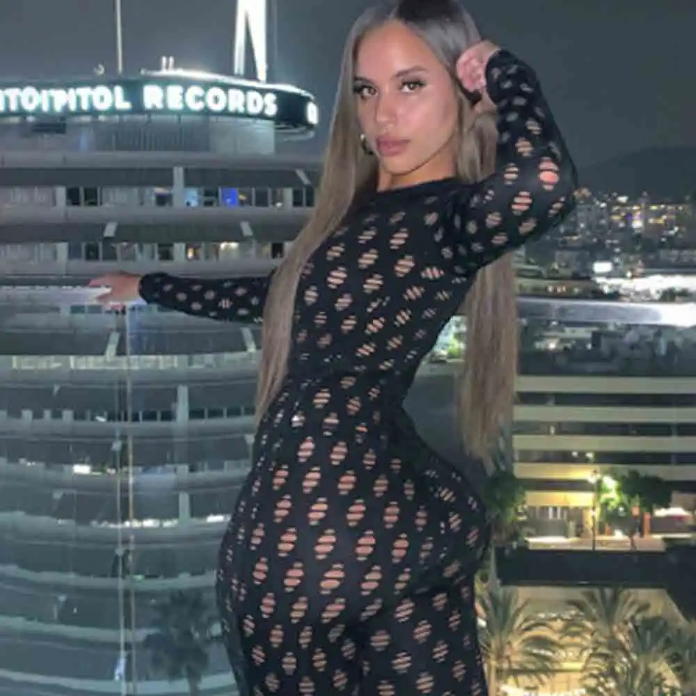 

See Through Hollow Out Sexy Zipper Jumpsuit Women 2020 Turtleneck Net Plaid Hole Skinny Elastic Club Streetwear Rompers