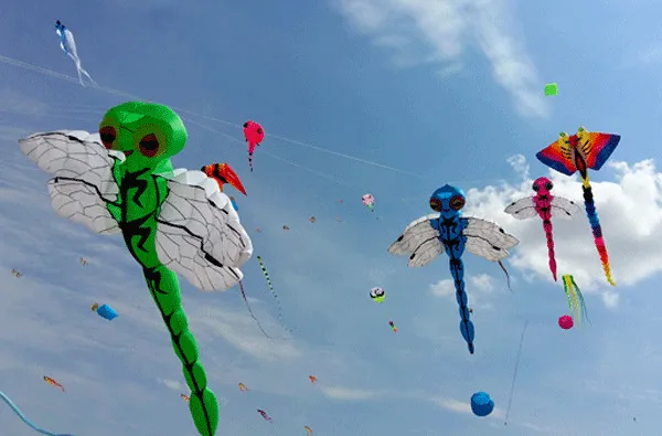 TB2PwZbDeuSBuNjSsplXXbe8pXa_!!1056965195