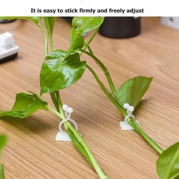 

10 Pcs Gardening Plants Orchid Clip Invisible Wall Vines Fixture Wall Sticky Hook Fixing Clip Vines Holder For Home Decoration
