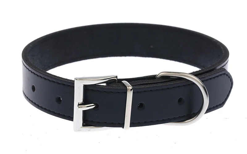 dog collar