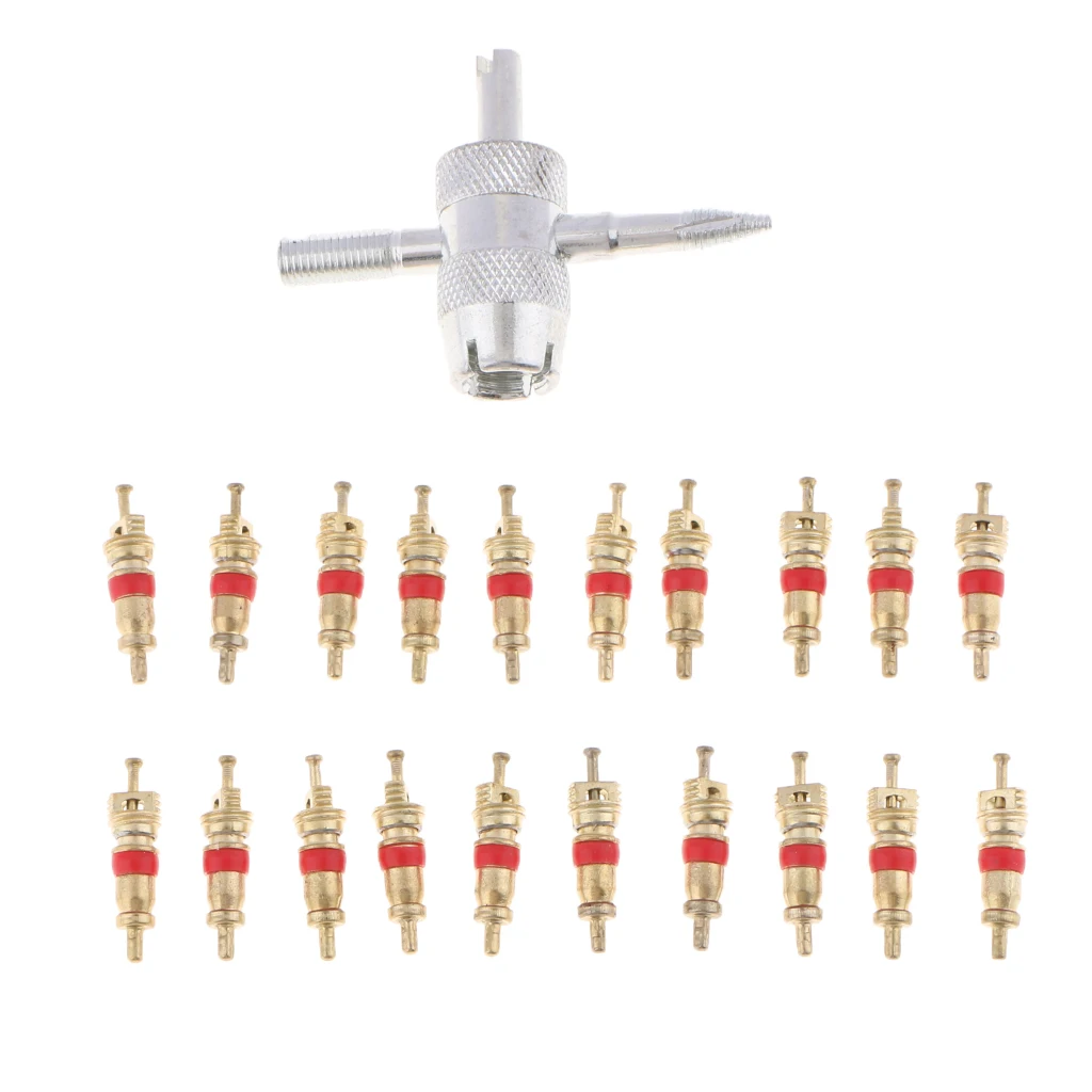 21pcs Tire Valve Stem Core Part For Car Truck Motorcycle Bike Valve